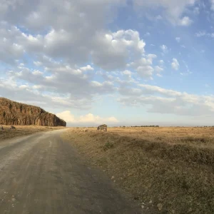 7 Days Taste of Kenya Safari