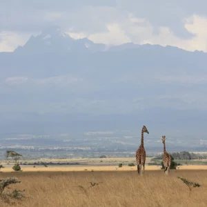9 Days Kenya Horizons Safari