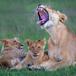 9 Days Spirit of Kenya Safari