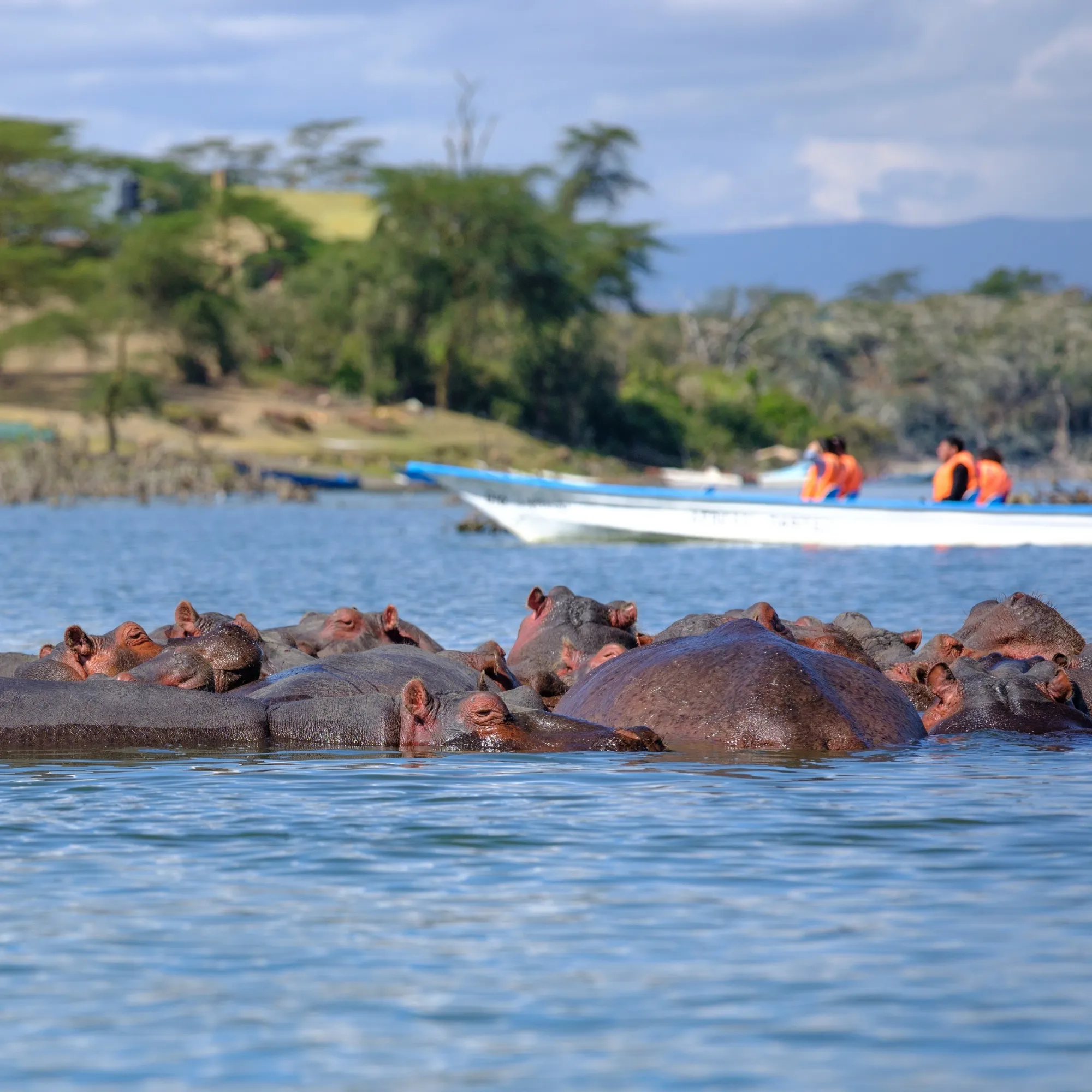 Crescent Island Day Tour – Lake Naivasha