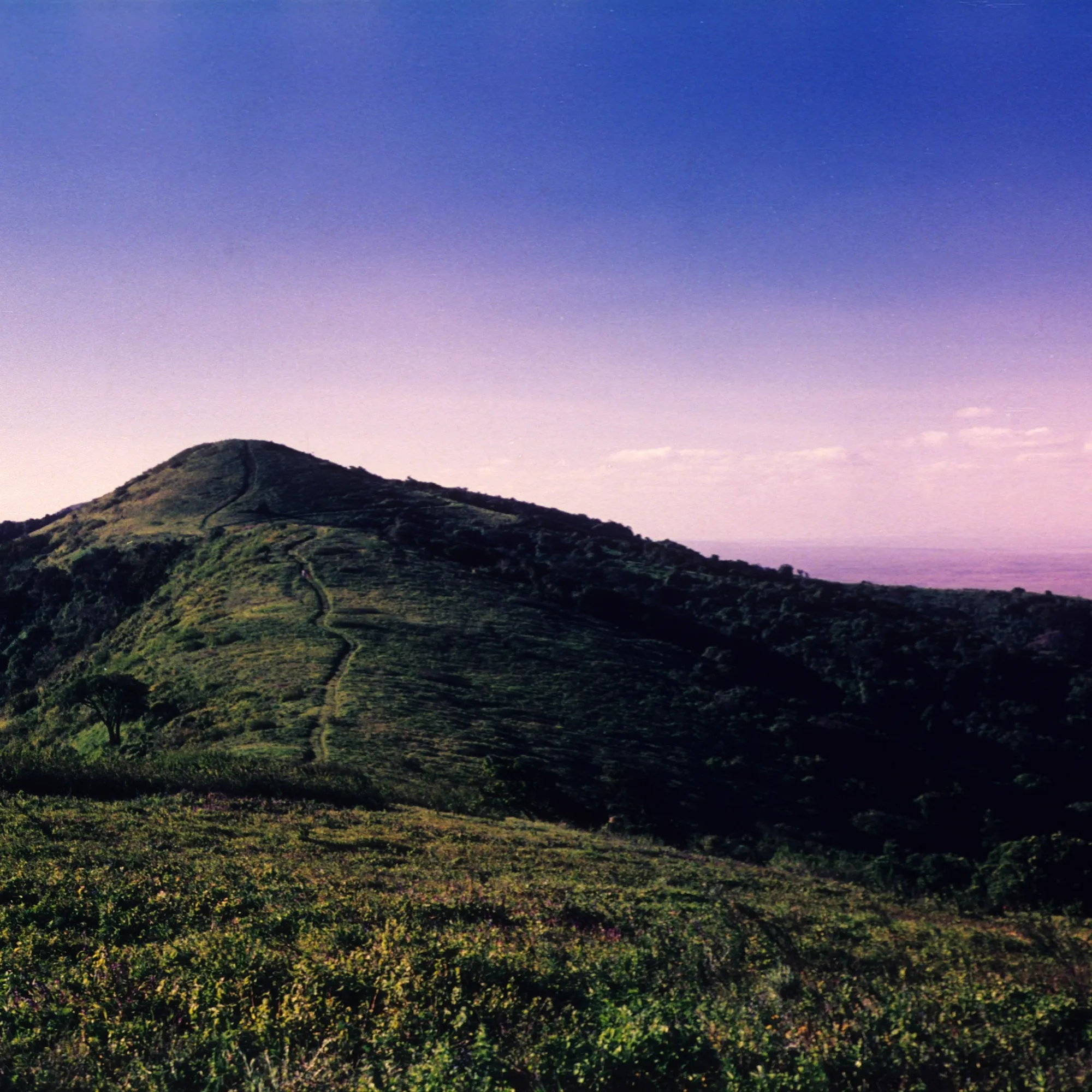 Ngong Hills Adventure Tour